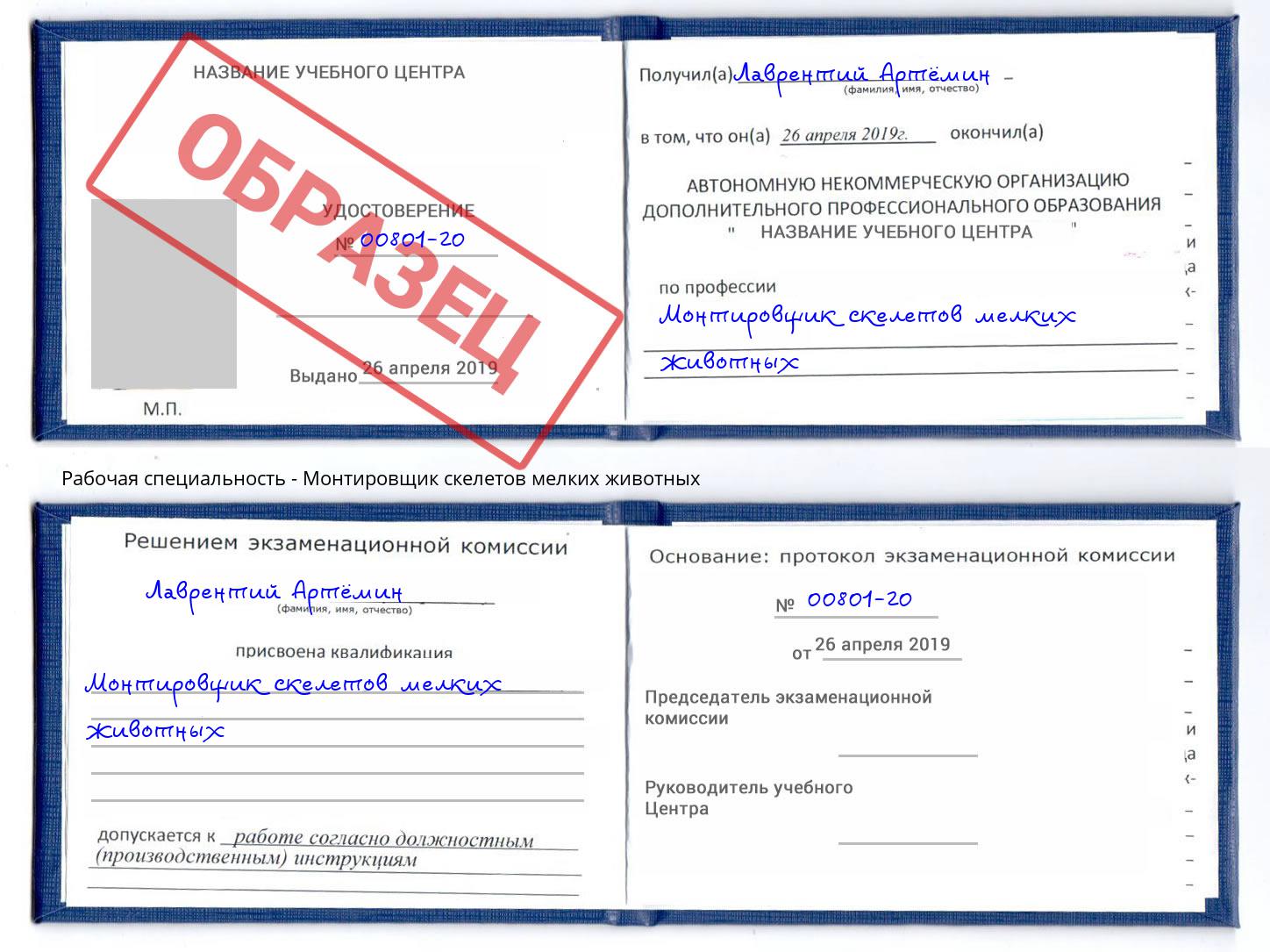 Монтировщик скелетов мелких животных Елабуга