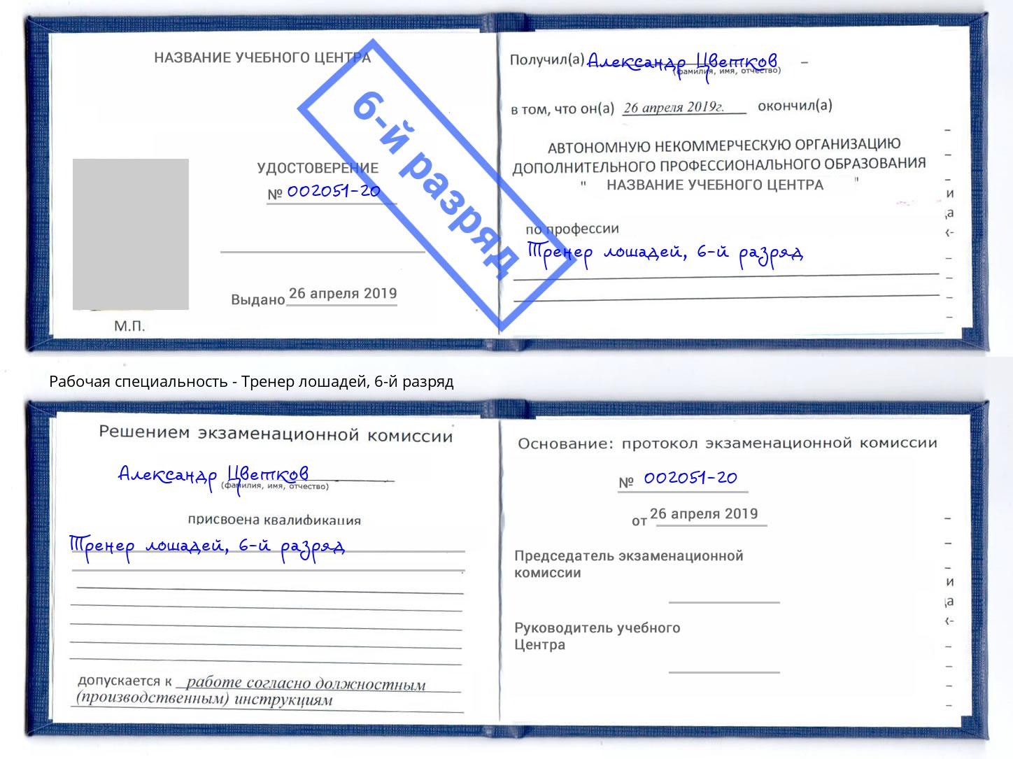 корочка 6-й разряд Тренер лошадей Елабуга