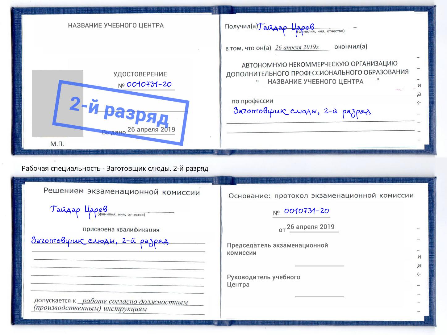 корочка 2-й разряд Заготовщик слюды Елабуга