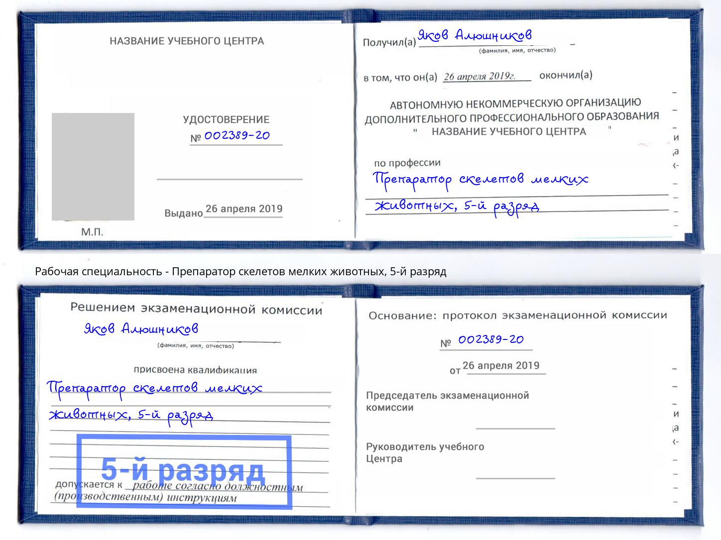 корочка 5-й разряд Препаратор скелетов мелких животных Елабуга