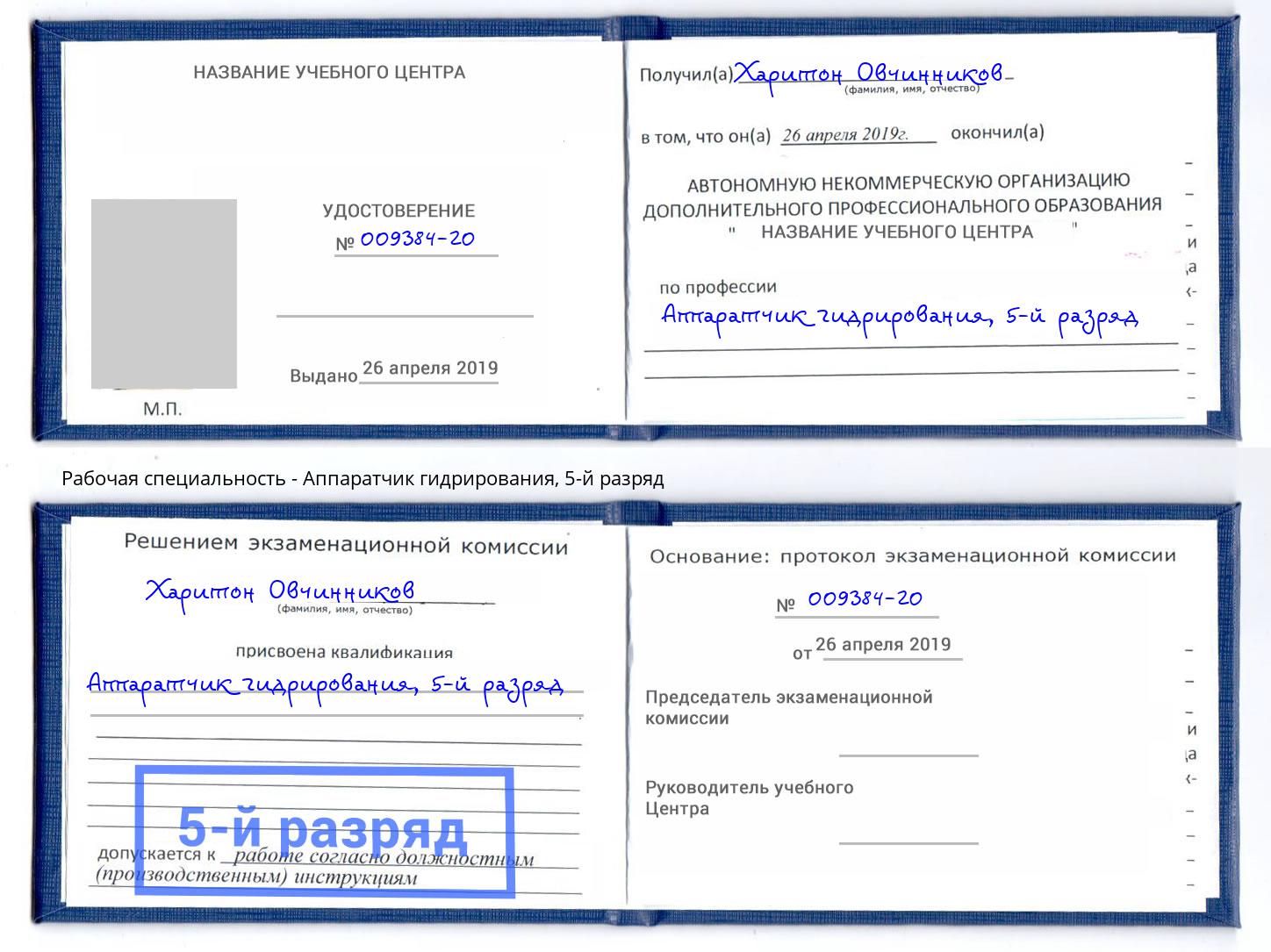 корочка 5-й разряд Аппаратчик гидрирования Елабуга