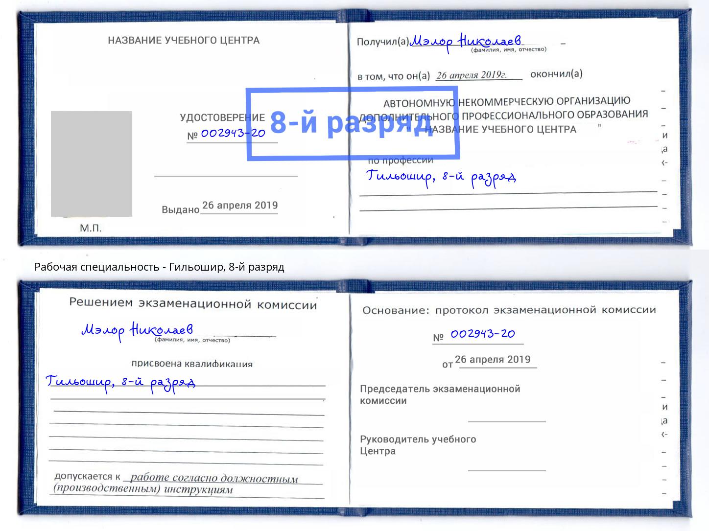 корочка 8-й разряд Гильошир Елабуга